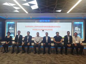 云南云投爆料最新消息新闻,揭秘重大投资动态与市场影响  第2张